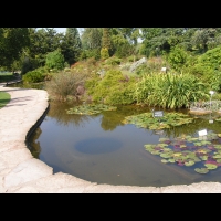 Lyon - Parc de la Tete d'Or (00)